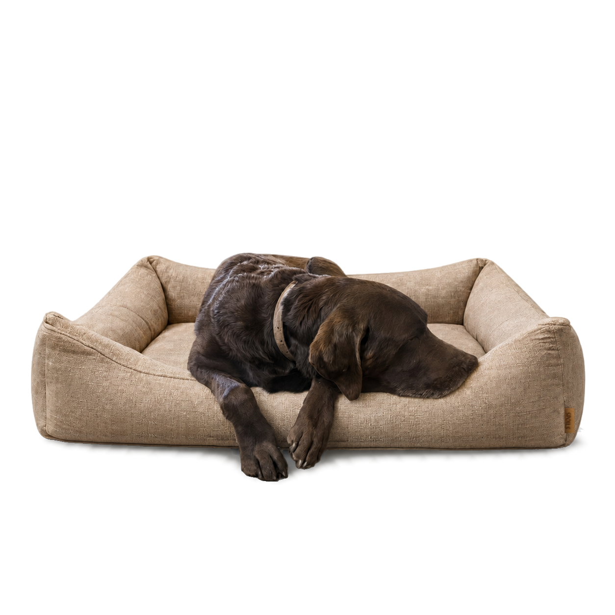 The Lounge in Bone linen