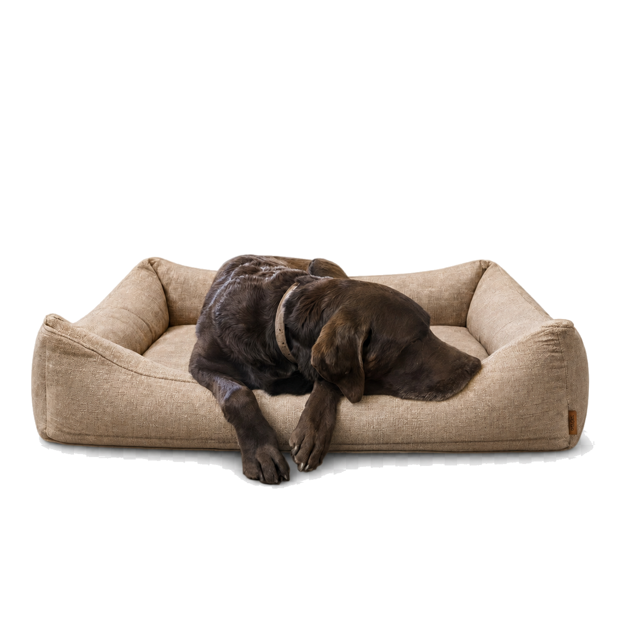 The Lounge in Bone linen