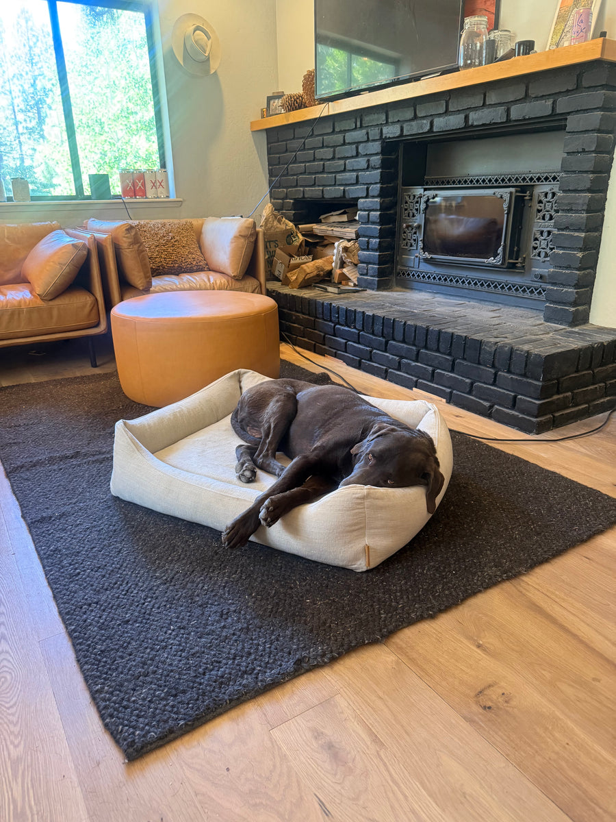 A large chocolate lab stretched across The Lounge