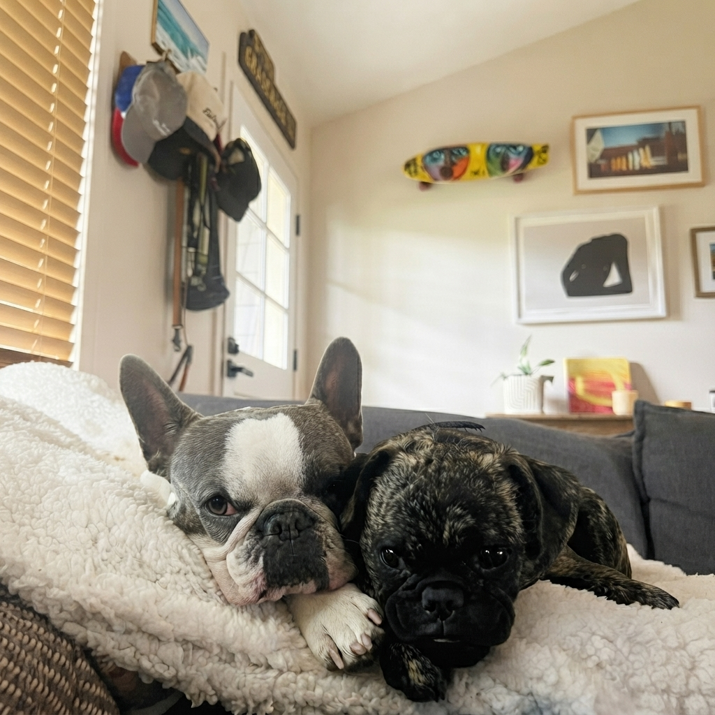 Kobe and Gigi resting on the bed