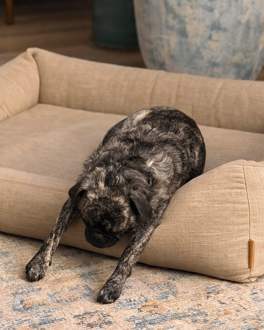 Gigi on The Lounge