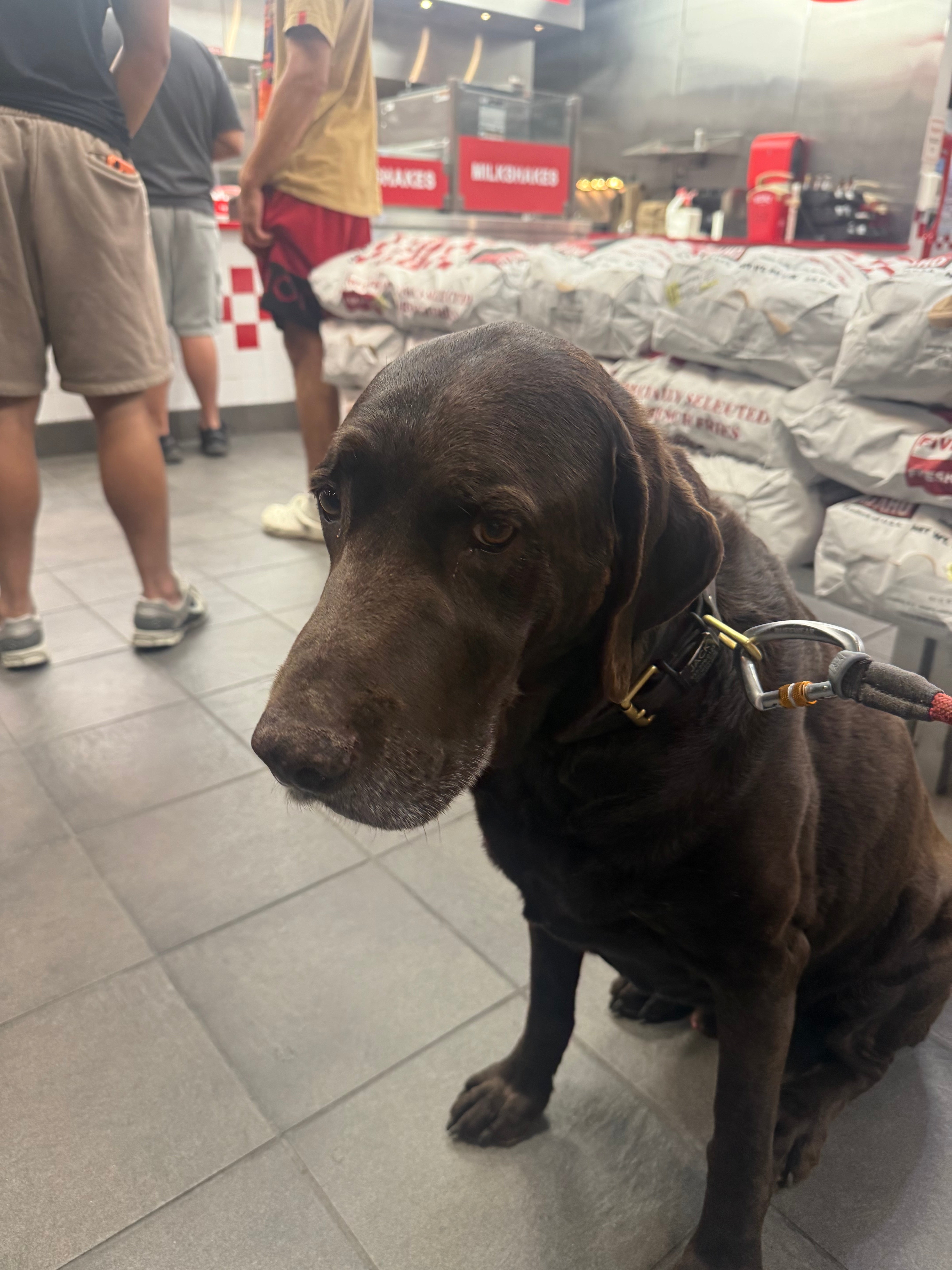 Jack waiting inside a burger place