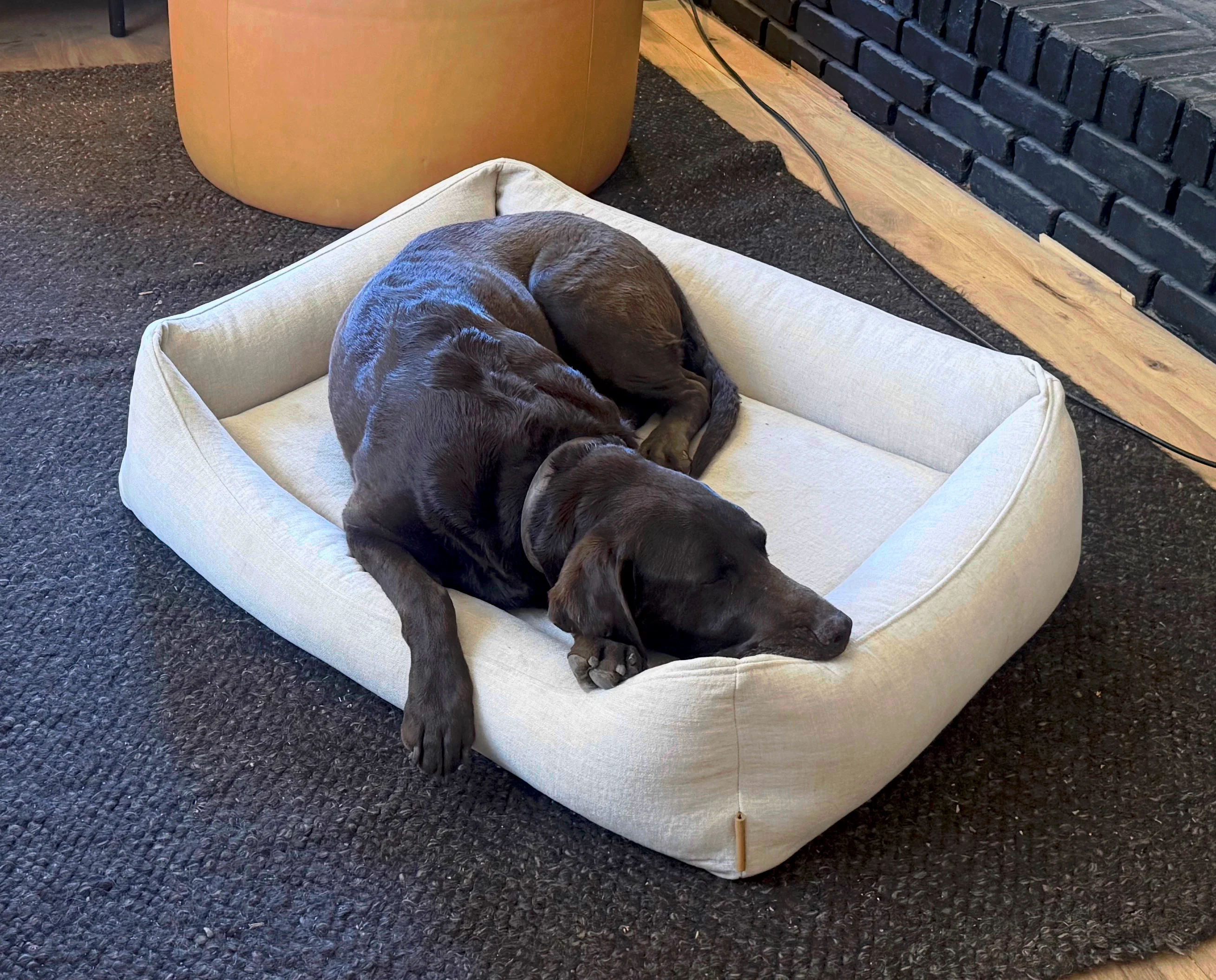 Two dogs claiming the Bone Linen Lounge