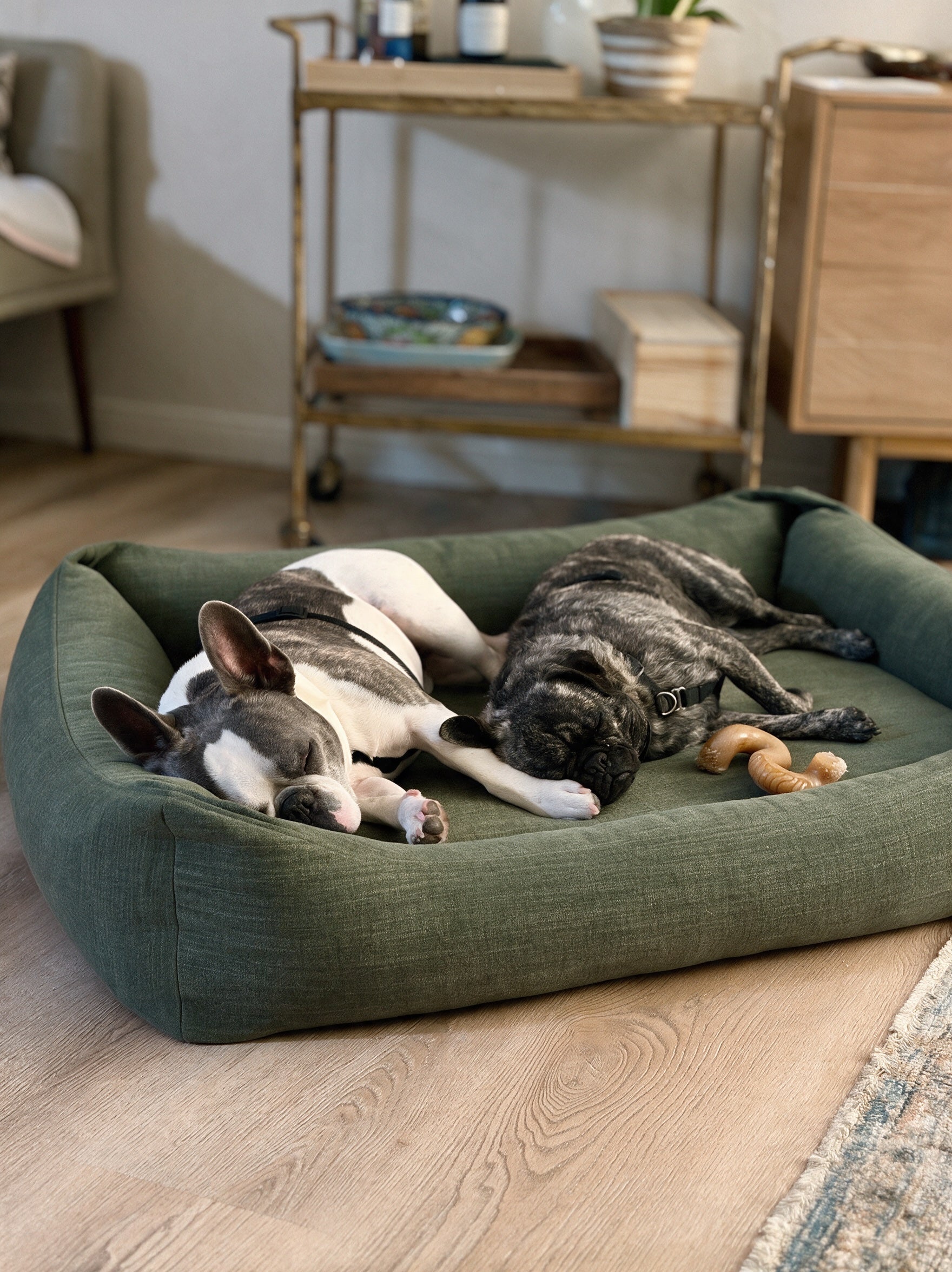 Two dogs resting in the Grove Linen Lounge