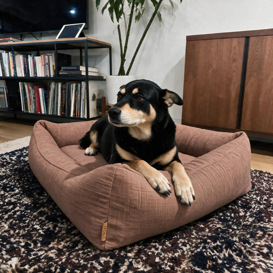 Kemba claiming the Clay Linen Lounge
